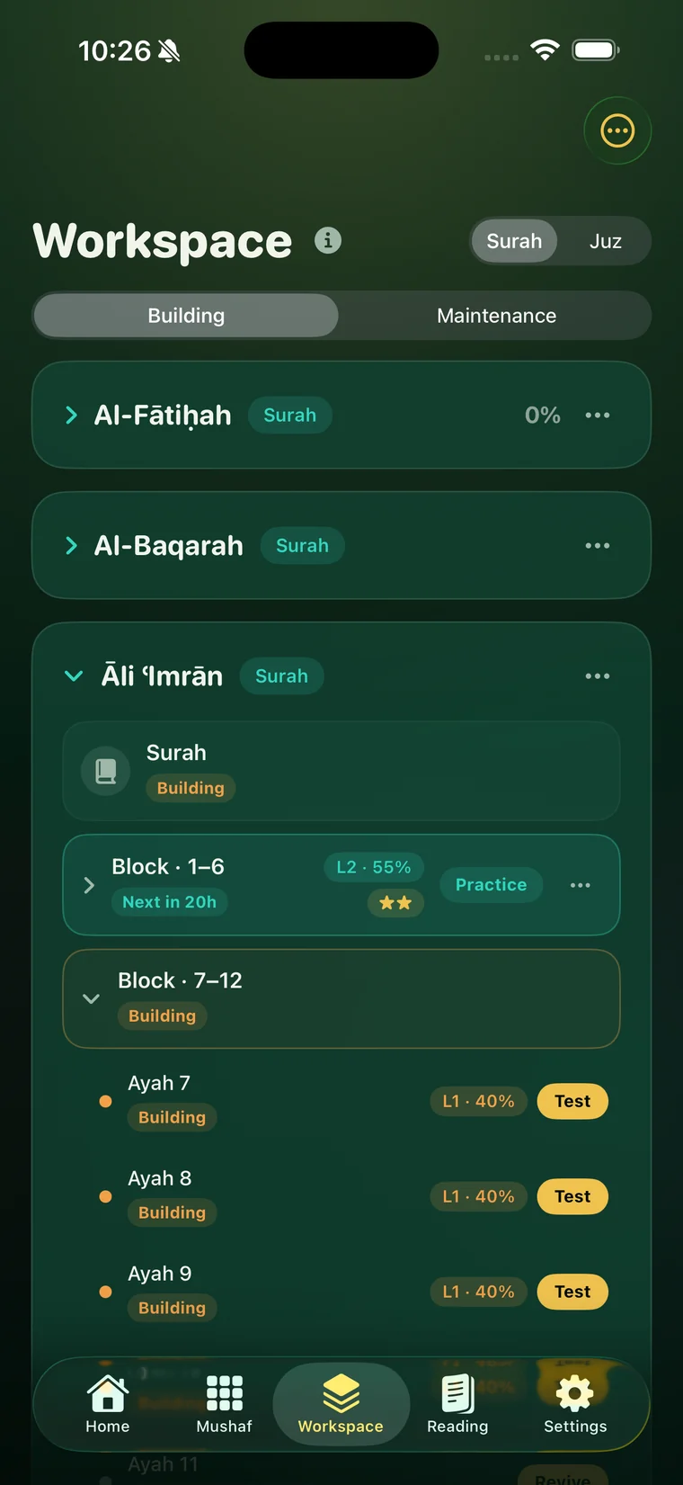 The Workspace screen showing memorization blocks with strength levels, review timing, and test actions.